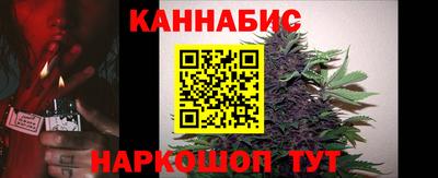 стаф Канаш
