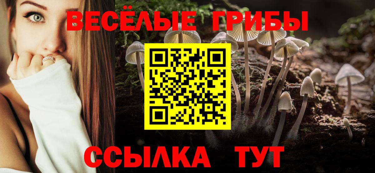 Псилоцибиновые грибы прущие грибы  Вход с VPN  Красноперекопск 